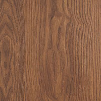 Фото дуб закарпатский