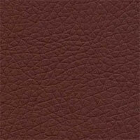 Image eco_28