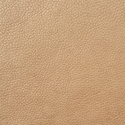 Фото Мадрас перламутр Exim Textile Gold