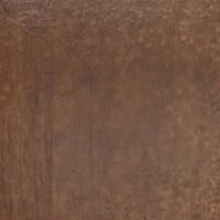 Фото орех лесной