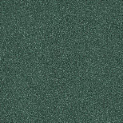 Фото Richmond Артекс Green blue