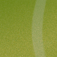 Фото киви металлик глянец