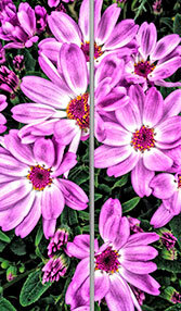 Изображение КН68