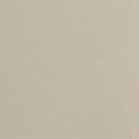 Фото крем S 2005 Y50 R