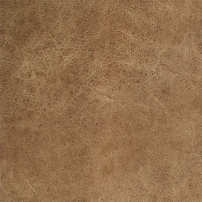 Фото Assen Дивотекс Latte