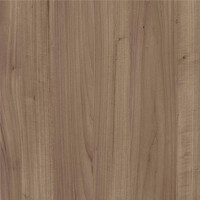 Фото липа песочная