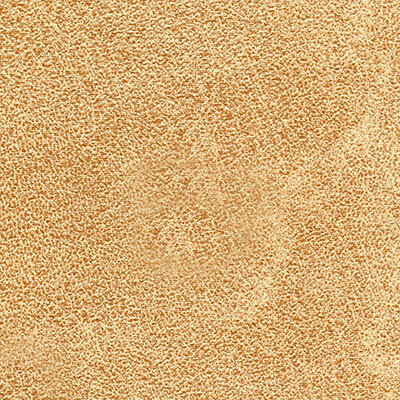 Фото London шкірзам Bjorn London 03