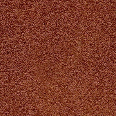 Фото London шкірзам Bjorn London 06