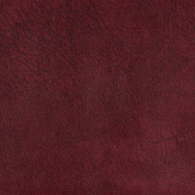 Фото Марсель Мебтекс Марсель 10