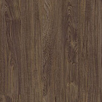 Фото морское дерево винтажное