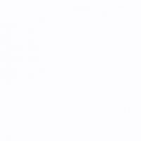 Фото нимфея альба