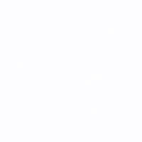 Фото нимфея альба