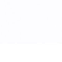 Фото нимфея альба