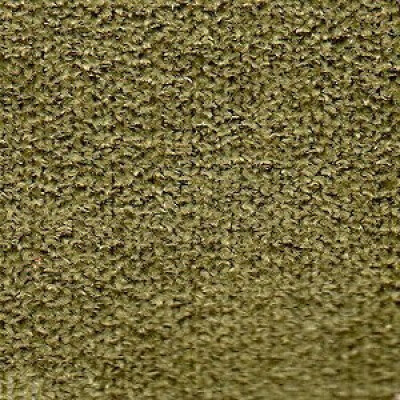 Фото New York Артекс Olive