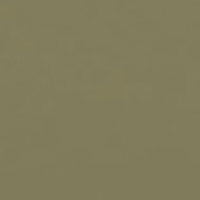 Фото оливка