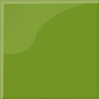 Фото оливковый глянец