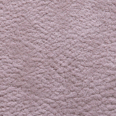 Фото Phlox Дивотекс Phlox 10