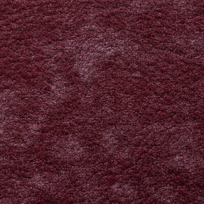 Фото Phlox Дивотекс Phlox 11