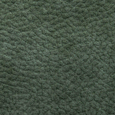 Фото Phlox Дивотекс Phlox 13