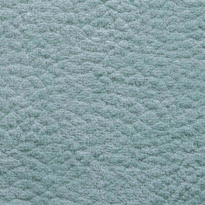 Фото Phlox Дивотекс Phlox 15