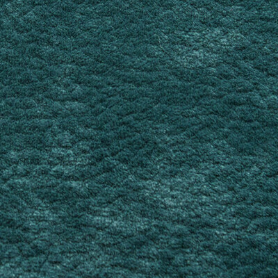 Фото Phlox Дивотекс Phlox 18