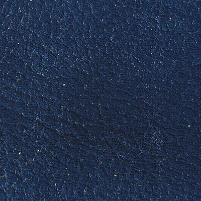 Фото Phlox Дивотекс Phlox 19