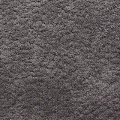 Фото Phlox Дивотекс Phlox 20