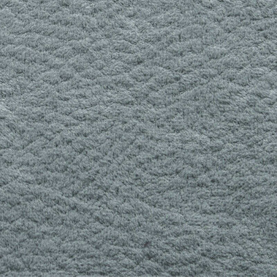 Фото Phlox Дивотекс Phlox 21