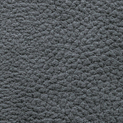 Фото Phlox Дивотекс Phlox 22