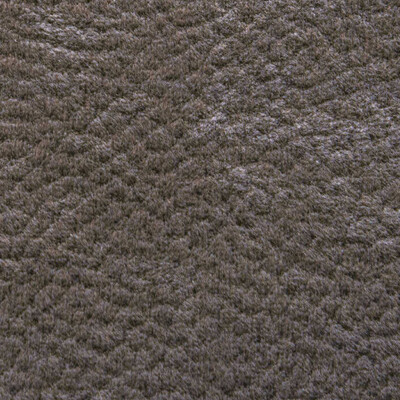 Фото Phlox Дивотекс Phlox 24