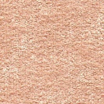 Фото New York Артекс Salmon