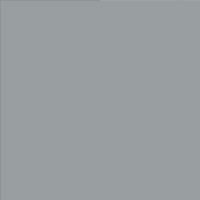 Фото серая мышка