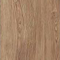 Фото сосна антична