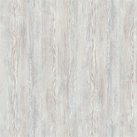 Фото сосна натти