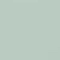 Фото светлая мята