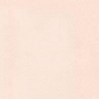 Фото светлый беж