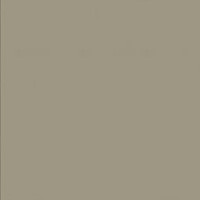 Фото светлый какао