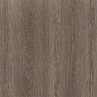 Фото трюфель