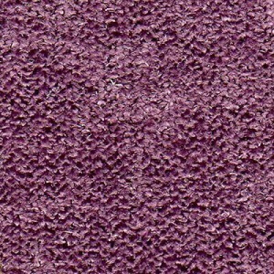 Фото New York Артекс Violet